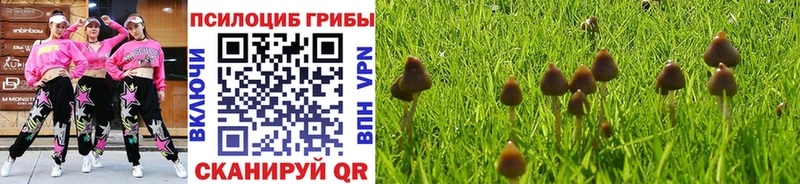Псилоцибиновые грибы ЛСД  blacksprut рабочий сайт  Заречный  купить  сайты 