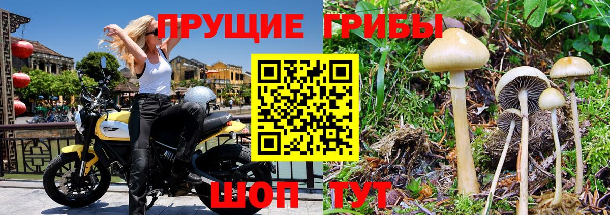 Псилоцибиновые грибы мухоморы Заречный