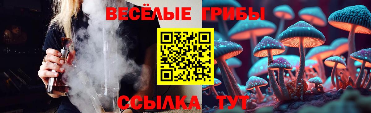 Заречный  Псилоцибиновые грибы Psilocybe  Вход с VPN 