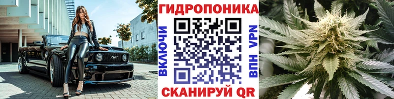 как найти наркотики  даркнет телеграм  Конопля индика  Заречный 